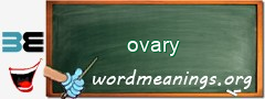 WordMeaning blackboard for ovary